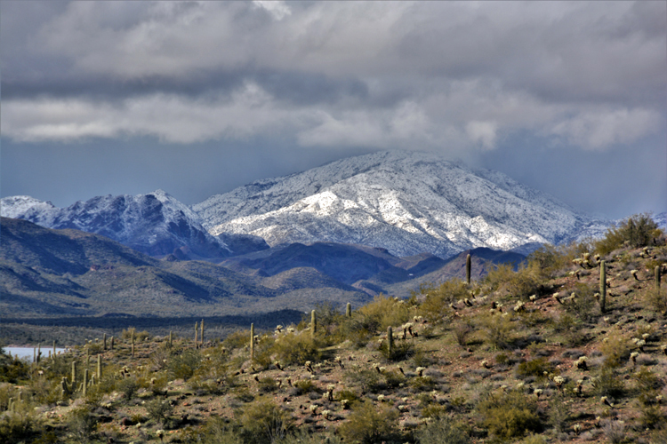 snow-capped mtns